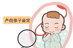 安徽省怀孕36天需要如何做无创怀孕亲子鉴定，安徽省办理无创怀孕亲子鉴定费用是多少钱